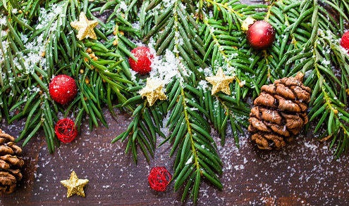 christmas tree sprigs and pine cones